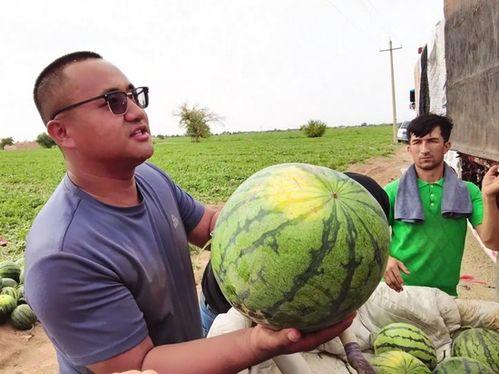 吃瓜娱乐图片大全大图,吃瓜瞬间，揭秘明星幕后生活