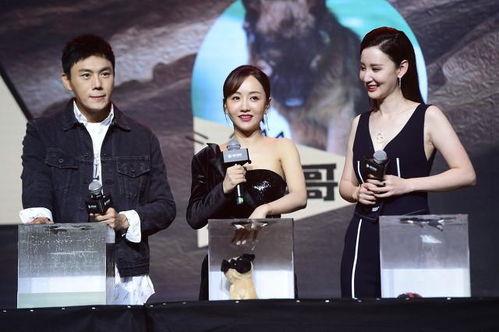 吃瓜娱乐合集在线观看,一键在线观看，畅享欢乐时光！