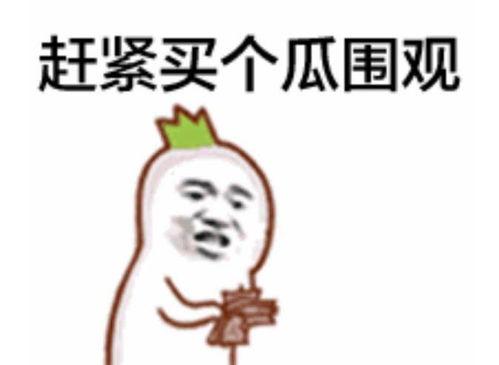 吃瓜表情包回复怎么说好听